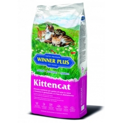  Kittencat